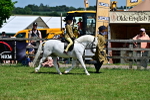 SBM_05917