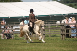 SBM_06916