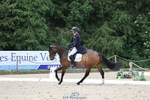 222-KILCANNON_SENSATION-Harry_Meade portfolio