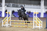 SBM_003732