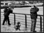 Wee Man Looking