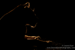 Backlit lioness