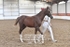 JAC_5760