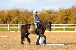 SBM_003268