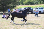 WJ6_4876