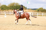 SBM_011857