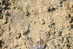 251004A-163134-02100