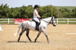 SBM_008208