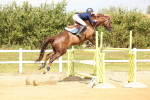 SBM_010985