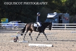 BPP_9363