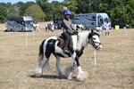 WJ6_9164