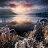 New Years Frost