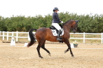 SBM_006450