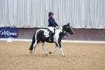 SBM_001337