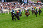 Race 7 16.52pm Sky Bet Extra Places Handicap portfolio