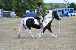 WJ7_6818
