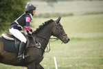 BVHT 140517  NXC -183