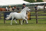 SBM_00495