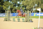 SBM_15262