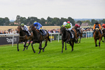 290826-Race 1-Trilby-5256