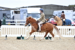 SBM_006820