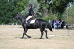 WJ7_9510