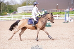 Cls 22 & 23 Stepping Stones 128cm & 138cm & Under11's portfolio