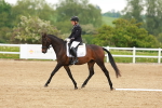 SBM_005369