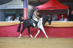 SBM_09613