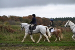 WJ6_9278