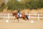 SBM_016818