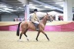 SBM_08182