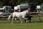 SBM_00746