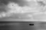 Puerto Rico portfolio