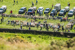 Ennerdale Show-9