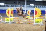 SBM_000663