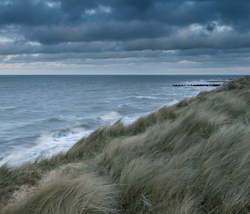 Waxham