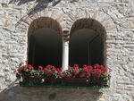Geraniums in Sirmione