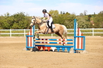 SBM_002585