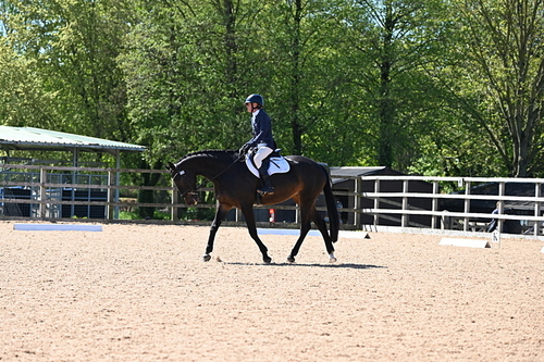 WJ6_8876