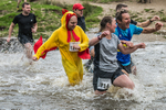 Dovedale Dash-175