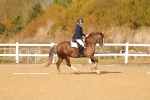 SBM_009286