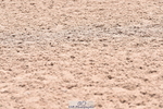 230609A-122110-00875