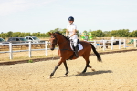 SBM_002654