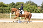 SBM_006580