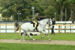 SBM_67558