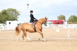 SBM_03405