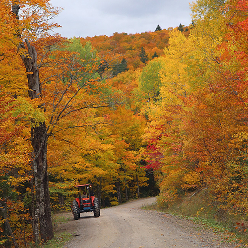 A tractor motors up a country road in rural Albert County, New Brunswick.
