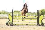 SBM_005385
