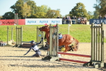 SBM_15273